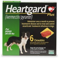 Heartgard Plus Chewables for Dogs 26 to 50 lbs., 6 Pack